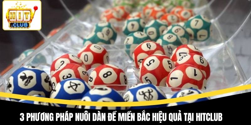3 phương pháp nuôi dàn đề miền Bắc hiệu quả tại Hitclub