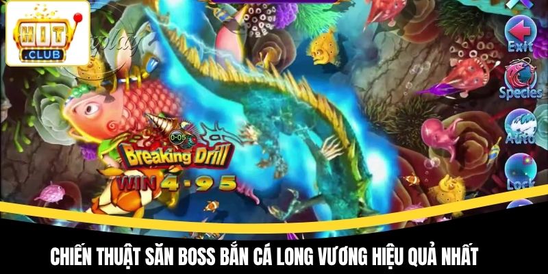 Chiến thuật săn boss bắn cá Long Vương hiệu quả nhất